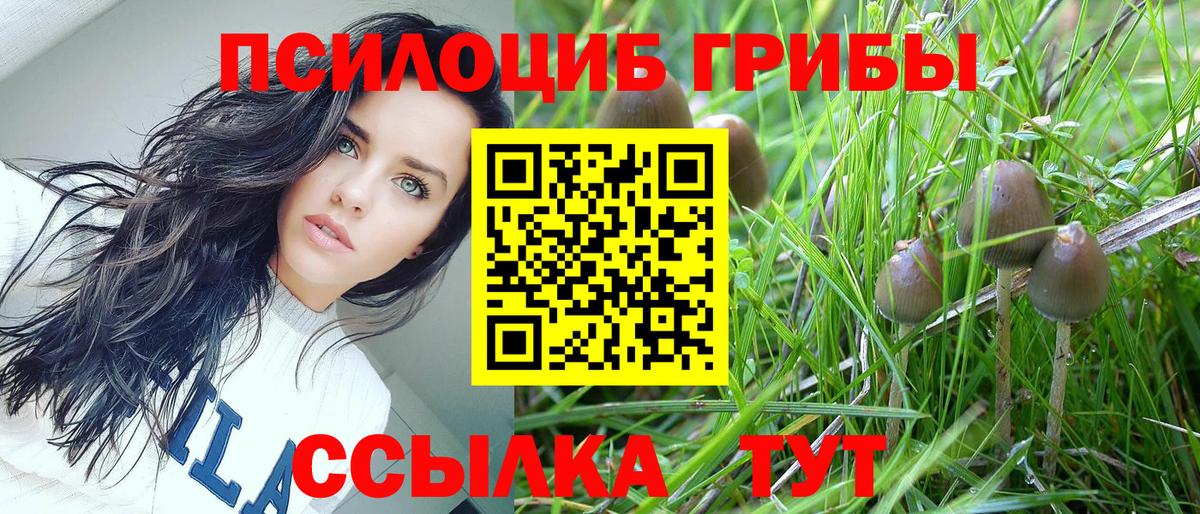 Азов  Псилоцибиновые грибы Psilocybe  Вход с VPN  Галлюциногенные грибы Psilocybe 